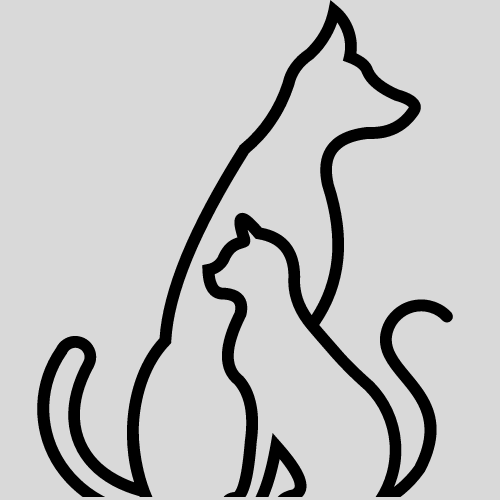 Pet Blog | Cats | Dogs